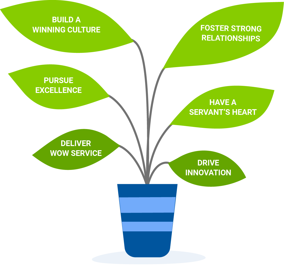 Values plant illustration