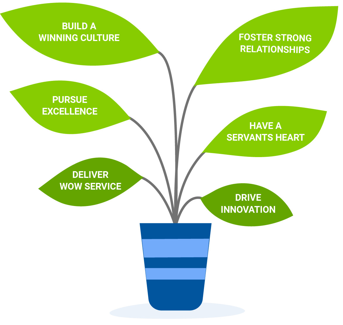 Values plant illustration