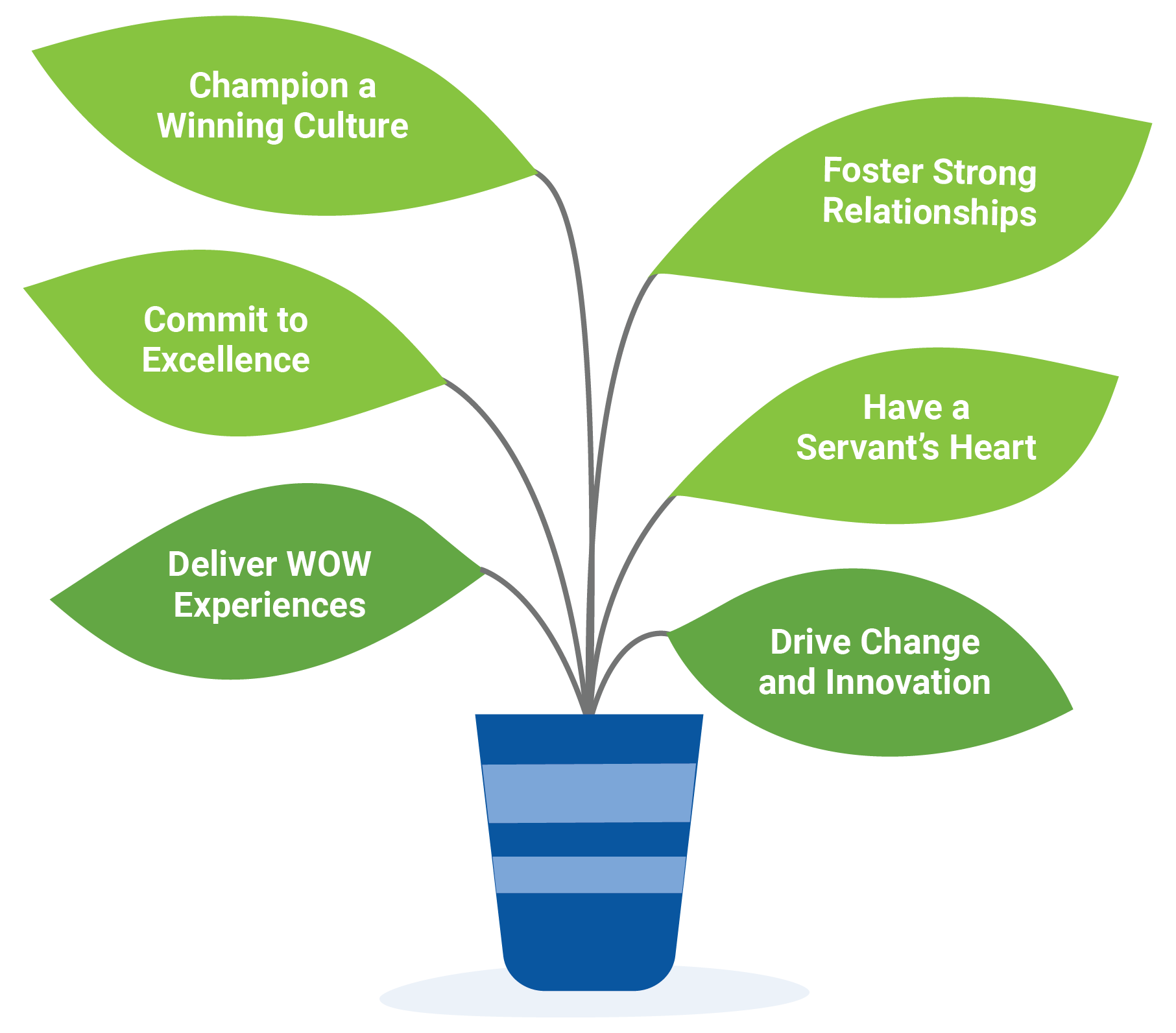 We Live Our Values Plant Graphic