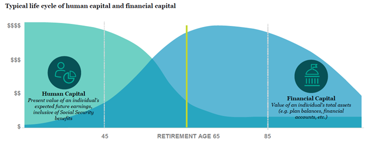 Typical life cycle of human capital and financial capital